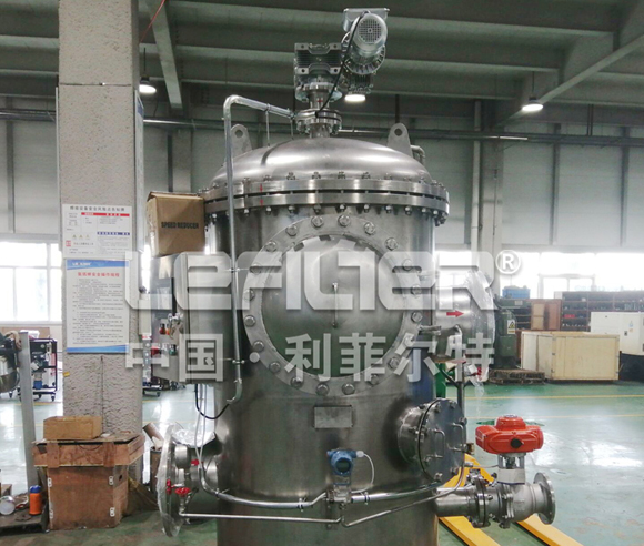 Backwash filter bag filter housings