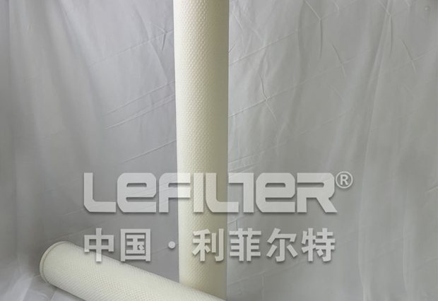 HFU609GF200H high flow filter cartridge
