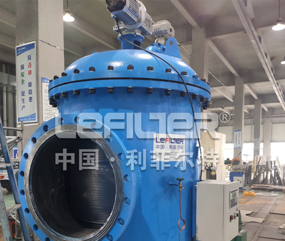 Back-Flushing And Self-Cleaning Filters