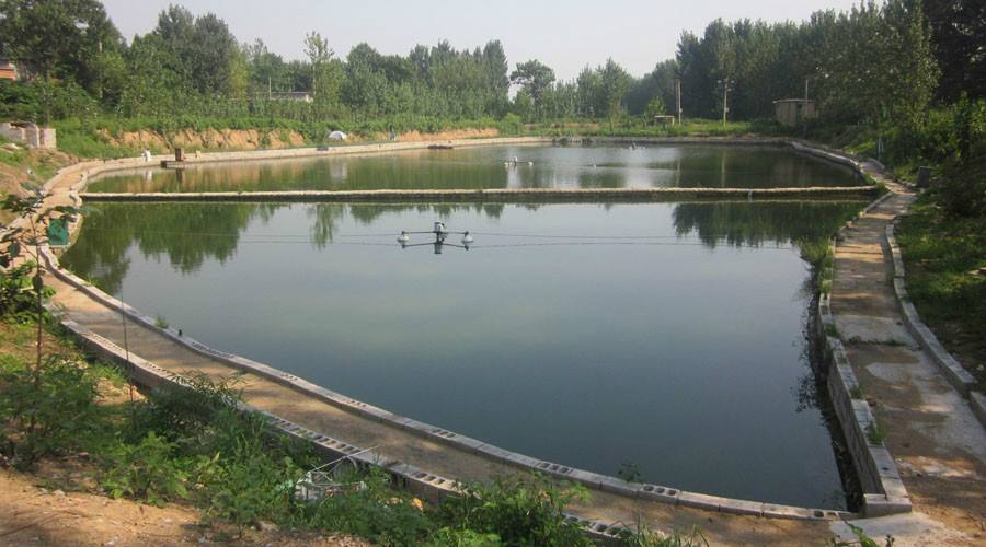 How do sand filters keep the water clear in a fish pond?