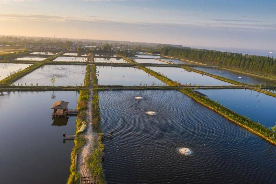 What type of pond is the sand filters suitable for?